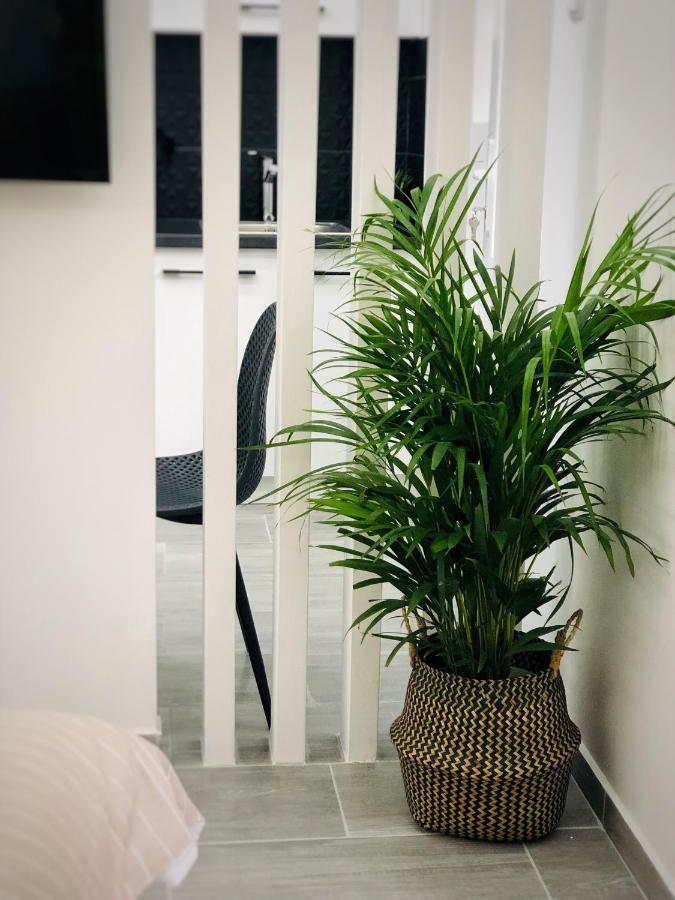 Beautiful Designer New Near Akropolis Atenas